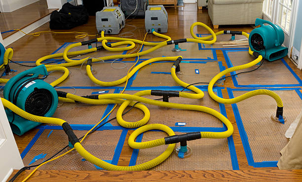 Professional Emergency Water Removal technician working in Harper Woods, MI